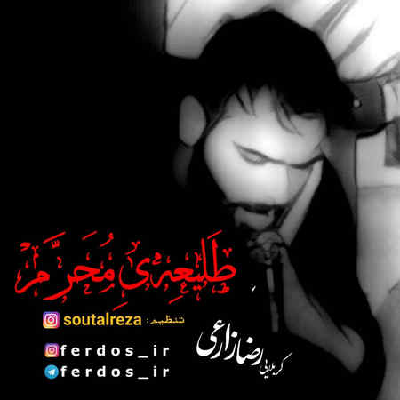 نوحه رضا زارعی طلیعه ی محرم مداحی کربلایی