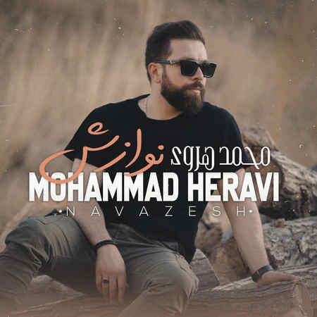 آهنگ نوازش محمد هروی
