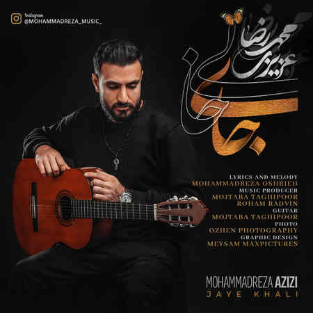 آهنگ جای خالی محمدرضا عزیزی