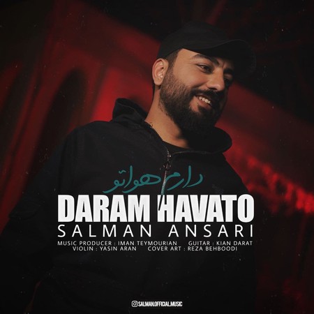 آهنگ دارم هواتو سلمان انصاری
