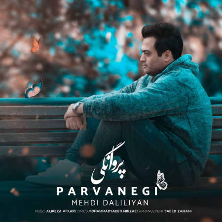 آهنگ پروانگی مهدی دلیلیان