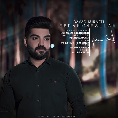 آهنگ باید میرفتی ابراهیم فلاح