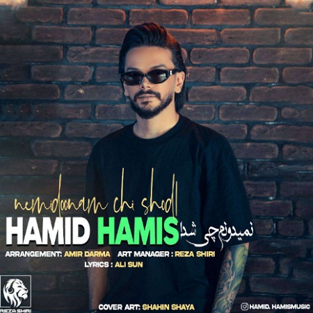 آهنگ نمیدونم چی شد حمید هامیس