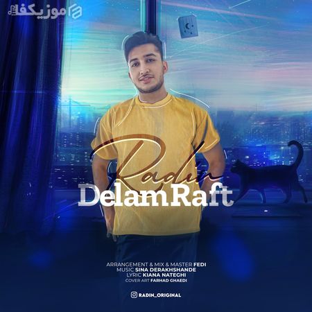 آهنگ دلم رفت رادین