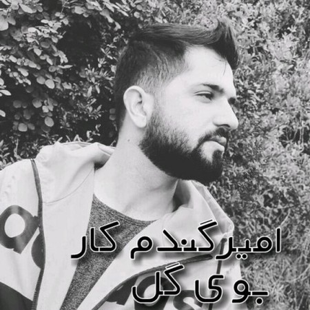 آهنگ کار بوی گل امیر گندم